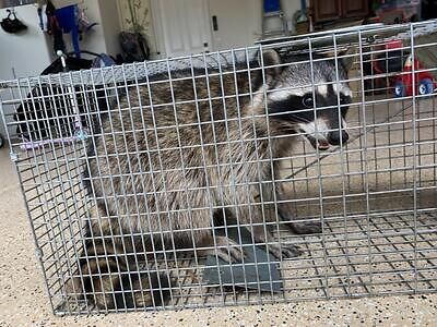 Hartford pest control